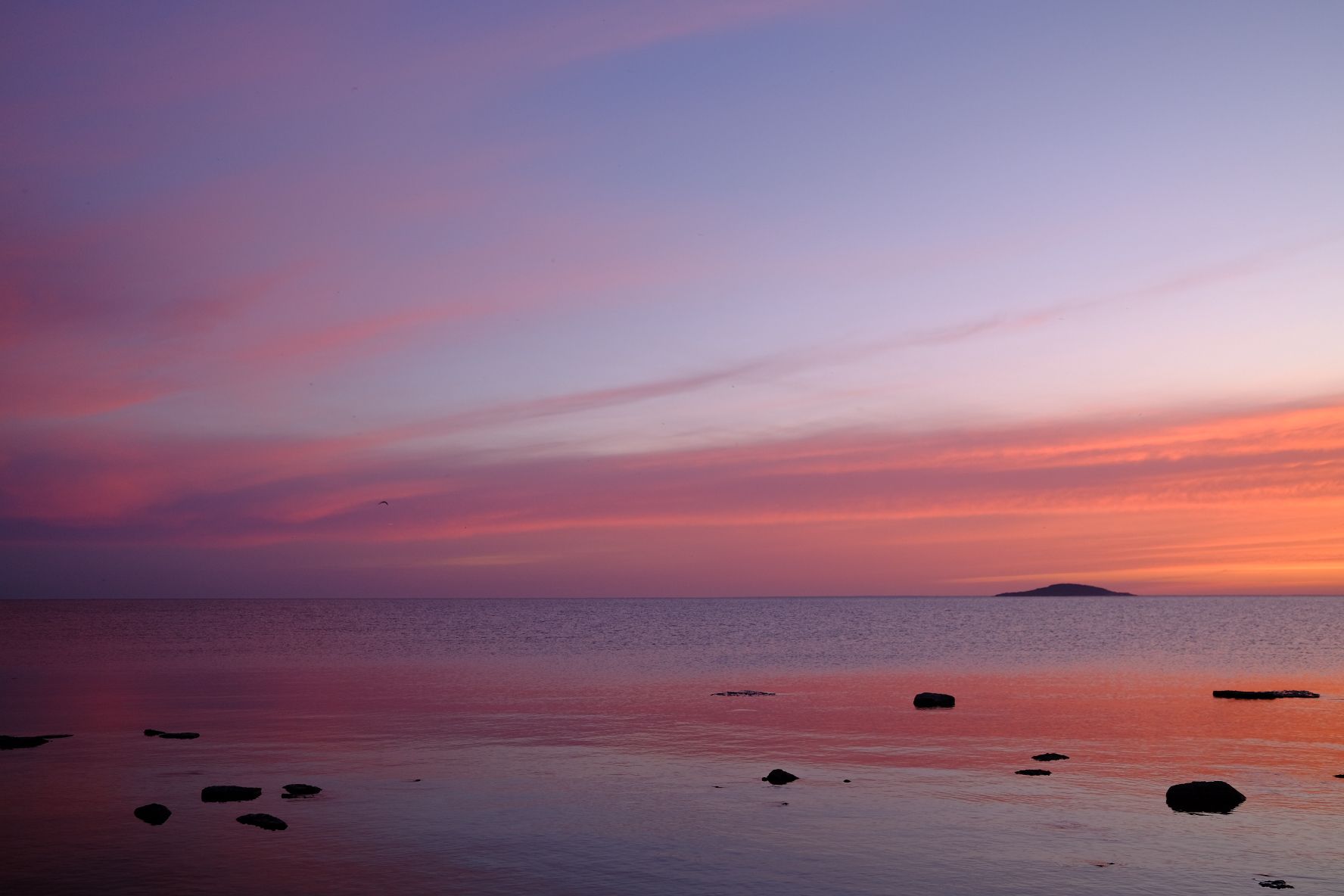 ölandkust.JPG