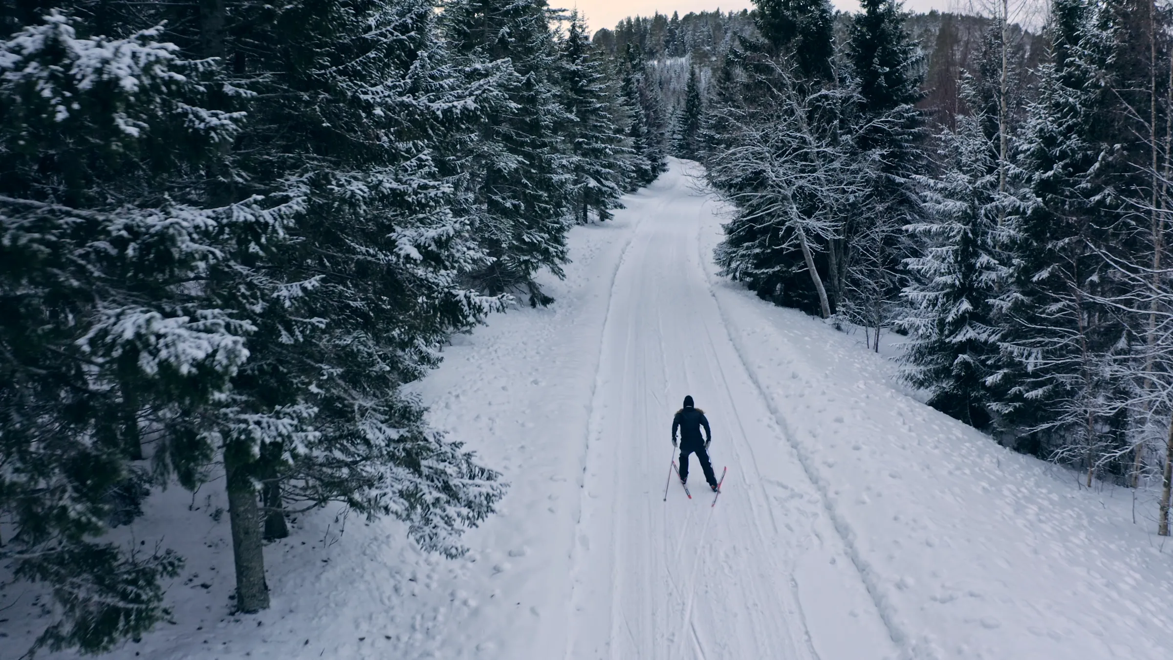 skidor