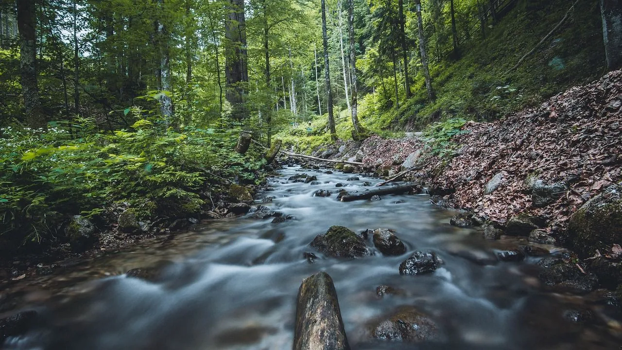 flow-3450907_1280.jpg
