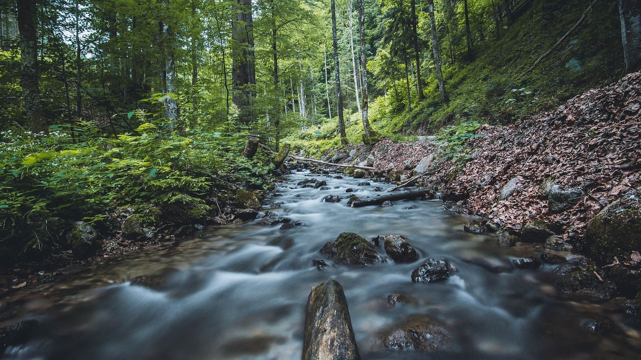 flow-3450907_1280.jpg