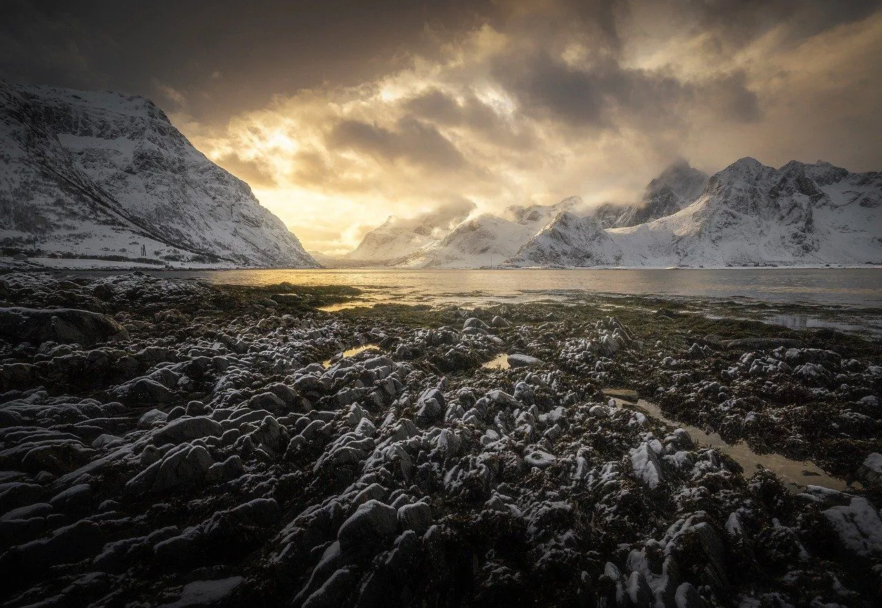 lofoten-7967448_1280.jpg