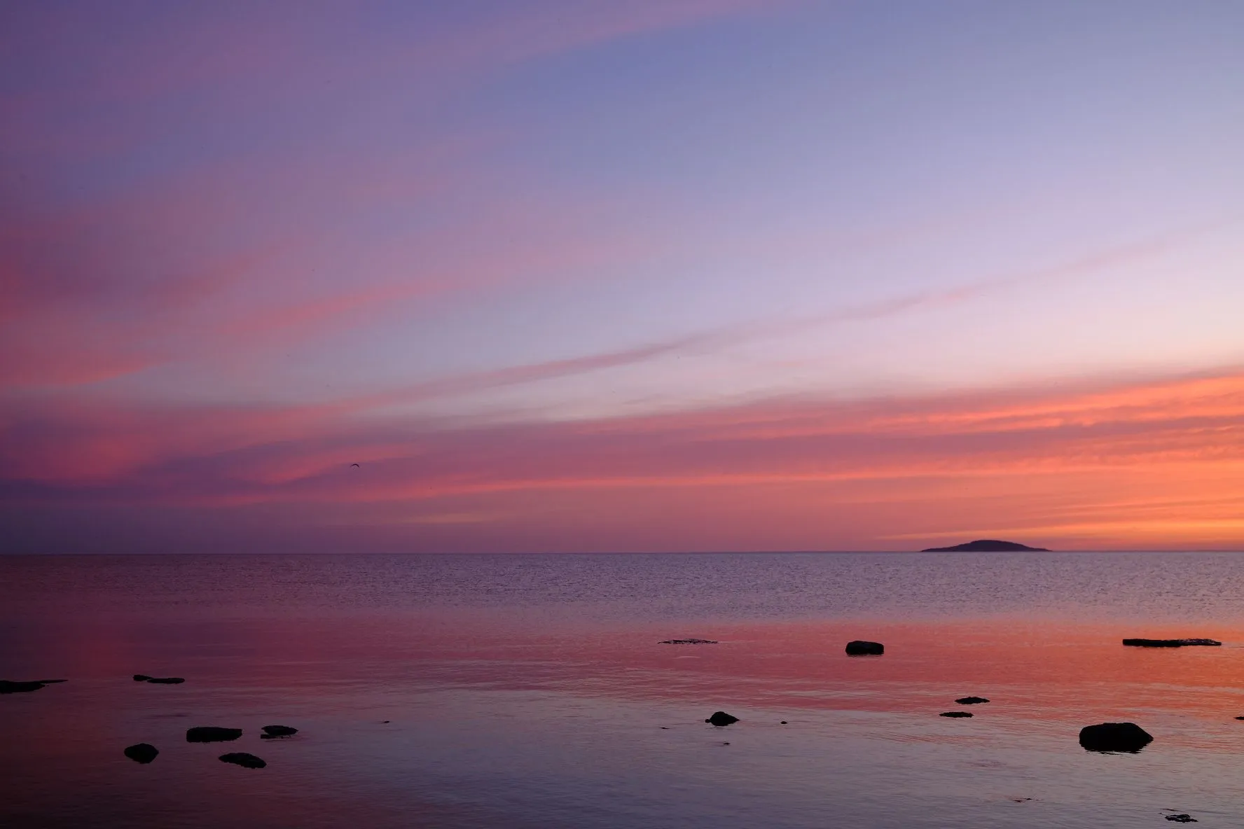 ölandkust.JPG