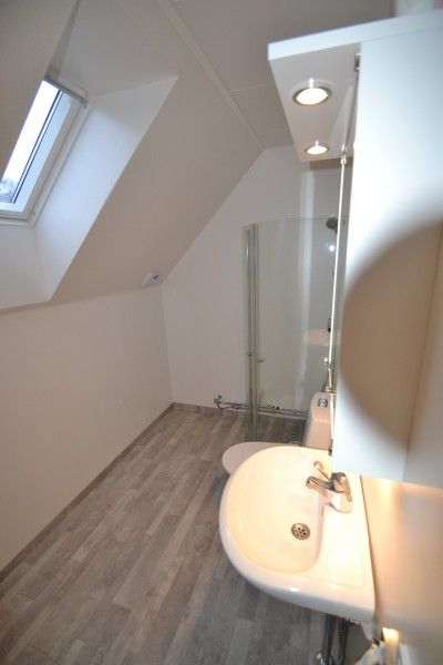 vinbergs troingeberg  3.jpg