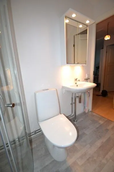 vinbergs troingeberg 5.jpg